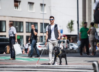 young blind man with white cane and guide dog walking on pavement