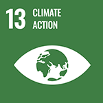 UN Sustainable Development Goal 13 icon - Climate Action