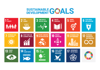 UN Sustainable Development Goals Poster 2019 - without UN emblem - showing all 17 SDG icons
