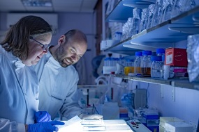 CT Group blue lab x285