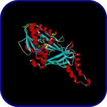 Virtual-Drug-Screening