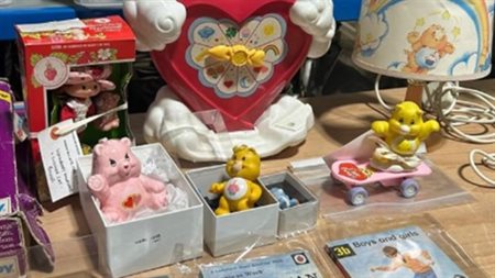Care Bear items in Leicestershire Museum Collections