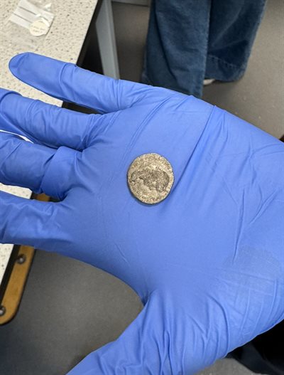 A coin featuring Hadrian held in a palm using gloves at the Collections Resources Centre which is part of Leicestershire Museum Collections facilities