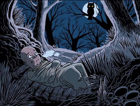 Image from graphic novel of swaddled baby abandoned in a wood. In the tree above is an owl silhouetted by the moon