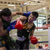 Multiple medals for the University of Nottingham at BUCS Boxing Championships