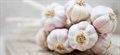 The complicated biology of garlic