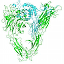 Nottingham/GSK drug discovery research published