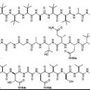 Study reveals the secret to a sea sponge's toxicity
