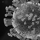 New RECORDER publication - Findings from the Second Wave of Covid-19 In England