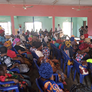 Mapping the susceptibility and resistance of diverse Lassa virus lineage variants to host cellular restriction: a pilot study