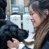 Puppy room returns to campus