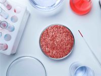 Will meat alternatives ever taste as good as meat?