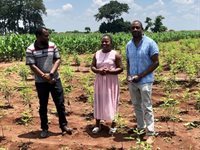 The story of Lentils- Diversifying Southern Africa's food systems