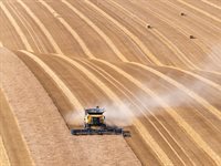 UK and China cooperation plays a vital role in global food system and agricultural transition in the post-Covid era, a new report finds.