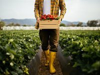 Can Agriculture Save the Planet? Insights from COP28 and Beyond