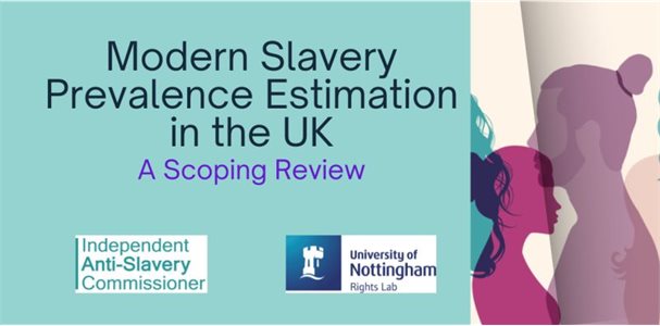 webinar a scoping review