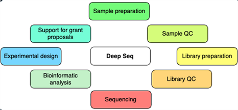Deep seq services