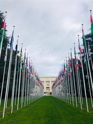 UN Flags-Laura copyrightfree