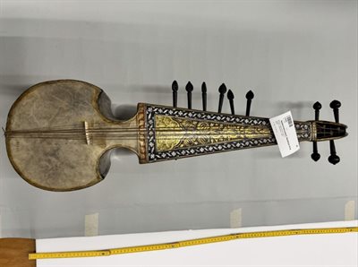 Image of an Indian Sarod