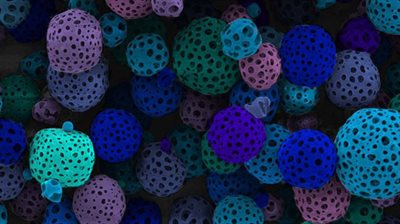 Cell-delivery-system