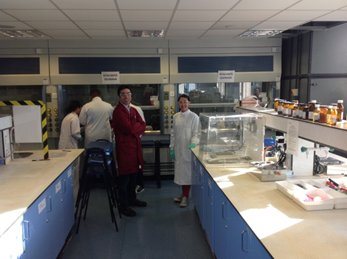 Real Life Drug Discovery Experiejnce