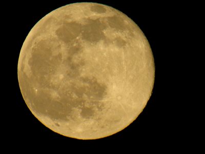 iStock_66369435_SMALL