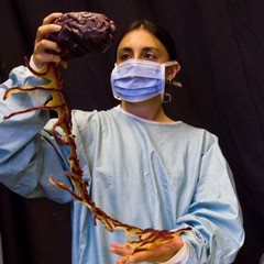 Silva Lining’s Care Plan