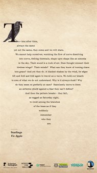 Viv Apple - Starlings