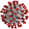 Coronavirus (COVID 19) information