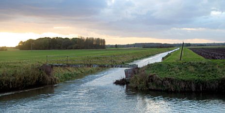 Carrlands - River Ancholme, North Lincolnshire. Photo: M Pearson