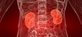 Treatment could offer protective effect against kidney damage