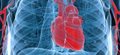 Making sense of genetic testing for heart disease
