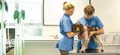 Nottingham Veterinary School to double student numbers in innovative dual-intake move