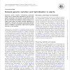Natural genetic variation and hybridisation in plants