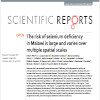 The risk of selenium deficiency in Malawi is large and varies over multiple spatial scales