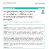 The genome-wide impact of cadmium on microRNA and mRNA expression