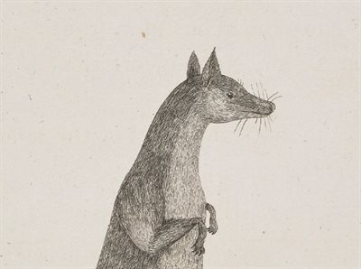 Illustration of small mammal.
