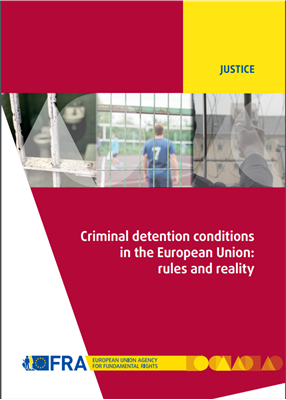 FRA Criminal detention report 2019