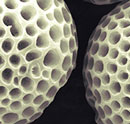 Science photography prize for polymer particles resembling golf balls