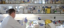 Researcher at Lab Bench