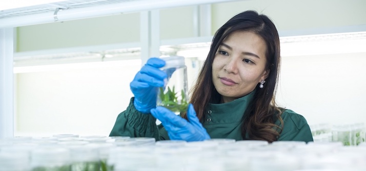 Female researcher inspecting a glass container of plants