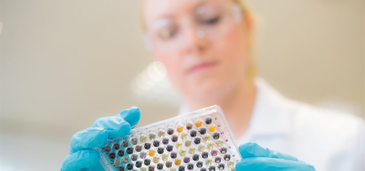 Female scientist examines small test tubes