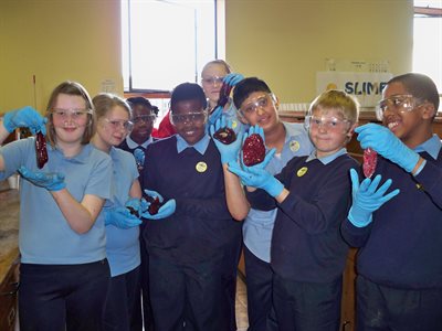 Primary School children at the Science Fair