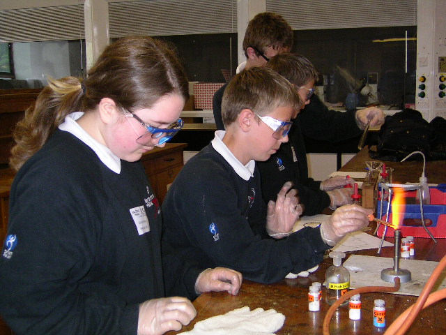 Year 7 & 8 pupils at Salter's Festival of Chemistry