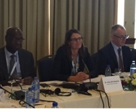 Edwards presenting on anti-torture legislation with Vice-Chair of African Committee for the Prevention of Torture, Mr Jean-Baptiste Niyizurugero, Secretary General of the Association for the Prevention of Torture, Mr Mark Thomson, and Chair of the UN Comm