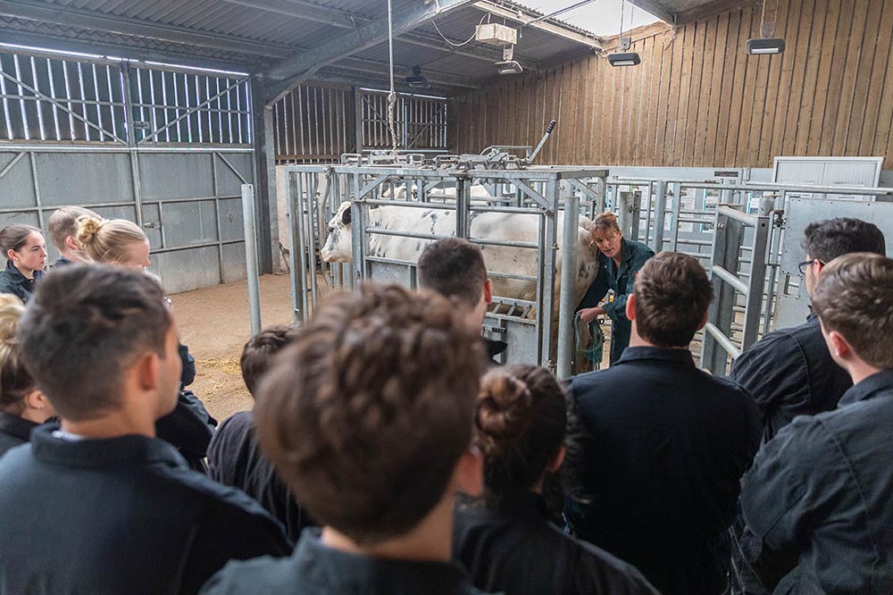 Purpose-built veterinary school