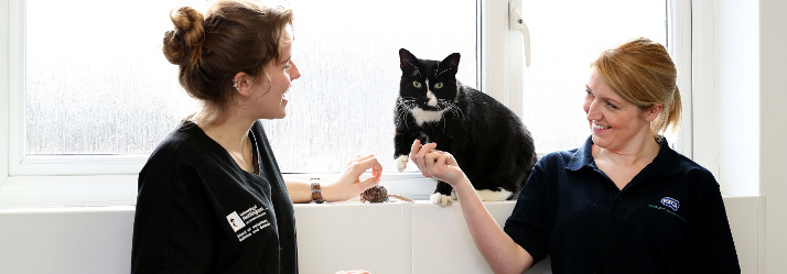 Bertie current students