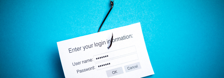 Phishing 714x249
