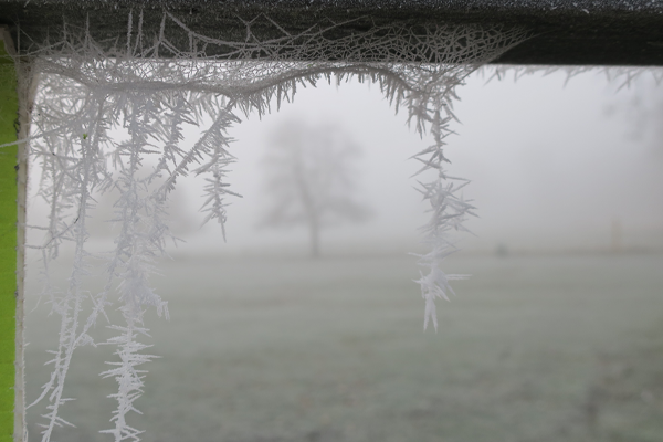 A close up image of frost on a cobweb suspended from a fence taken on a misty cold day in Wollaton Park, Nottingham
