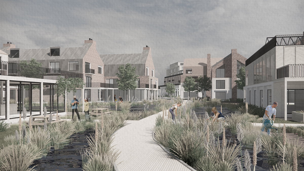 Broadwalk from Existing Allotments into the New &ndash; Clusters mixing through Wetlands